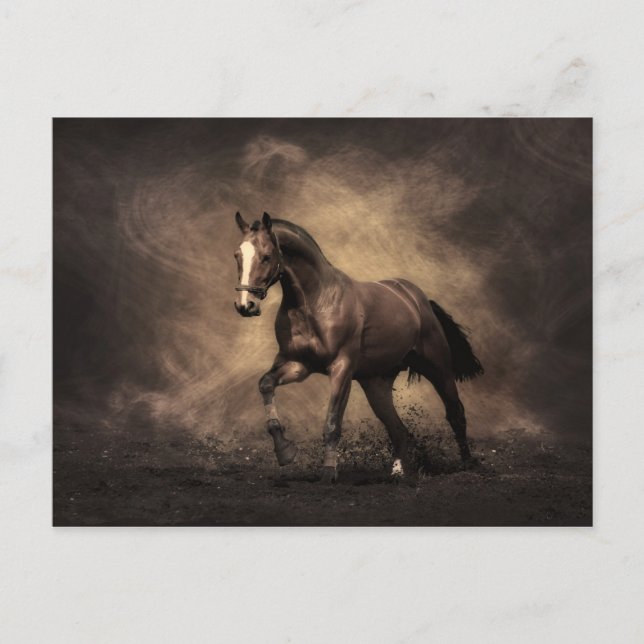 Bay Horse Vykort (Framsida)