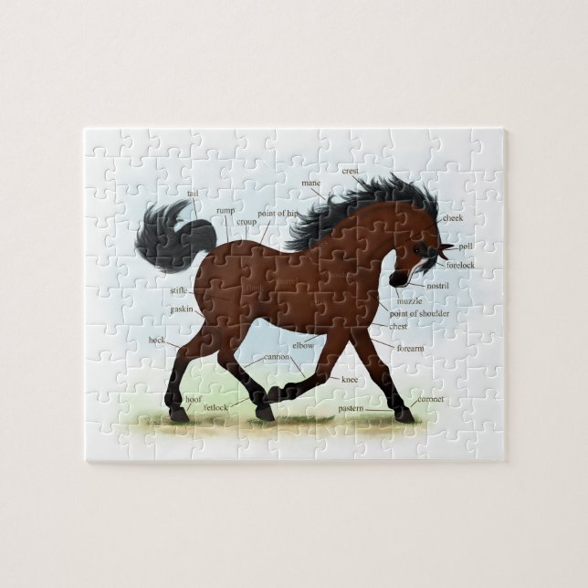 Bay Horse with Blaze Educational Anatomical Chart Pussel (Horisontell)