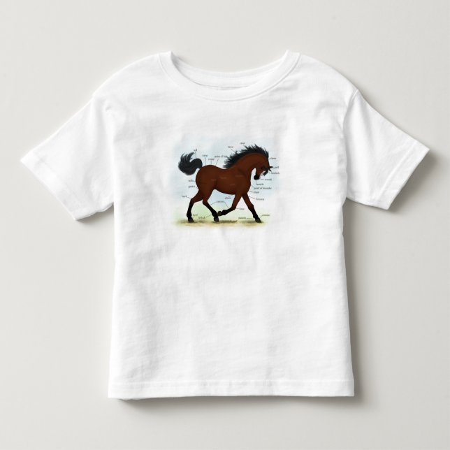 Bay Horse with Blaze Educational Anatomical Chart T Shirt (Framsida)