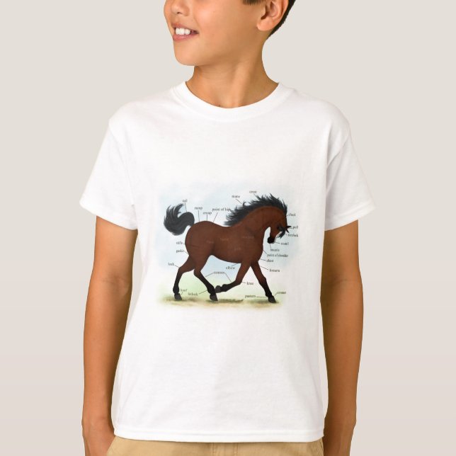 Bay Horse with Blaze Educational Anatomical Chart T Shirt (Framsida)