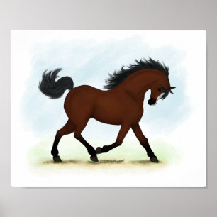 Bay Horse with Blaze Equestrian Poster