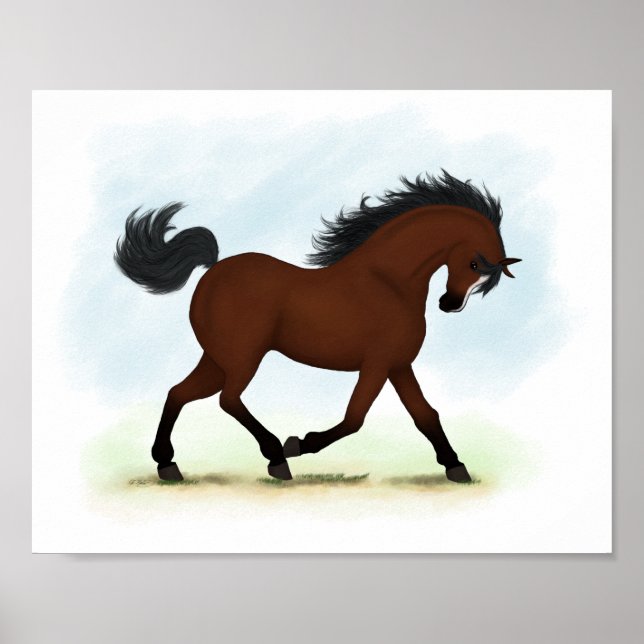 Bay Horse with Blaze Equestrian Poster (Framsidan)