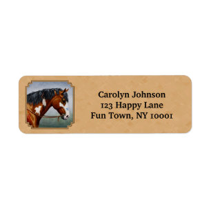 Bay Indian Pony Pinto Horse Tan Returadress Etikett