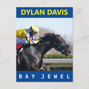 Bay Jewel Vykort