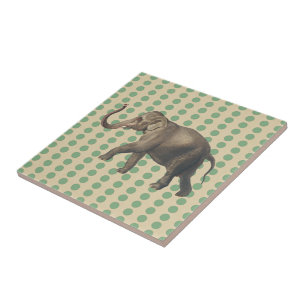 Bay Löv Spice Moods Dots med Elephant Kakelplatta