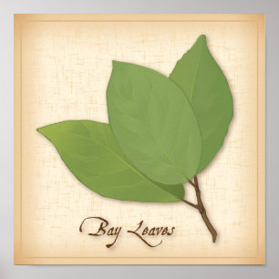 Bay Lövs Poster