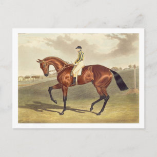 Bay Middleton, Derbyvinnare 1836, efter Vykort