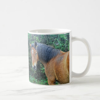 Bay New Forest Pony of Hampshire, England Kaffemugg