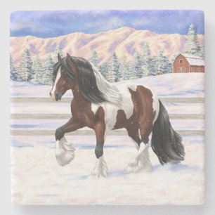 Bay Pinto Brown Skewbald Gypsy Vanner Tinker Horse Stenunderlägg