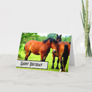 Bay polska Bred Draft Horses Grattis på födelsedag Kort