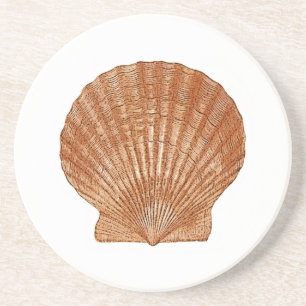 Bay Scallop-Snäcka Underlägg