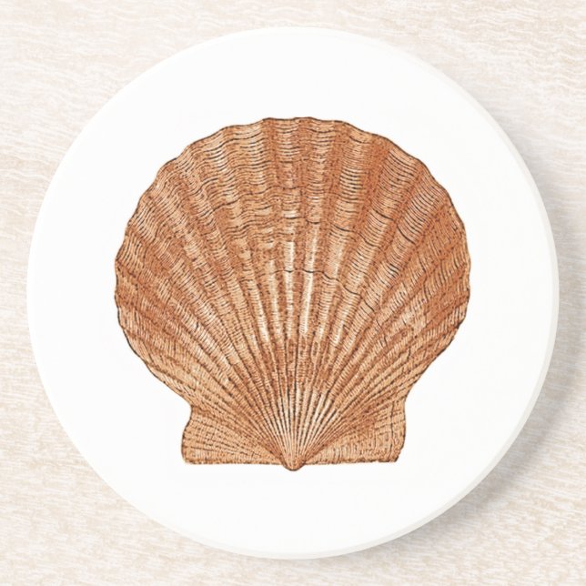 Bay Scallop-Snäcka Underlägg (Framsidan)