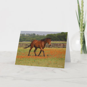 Bay Thoroughborn Horse Walking Flowers Kort