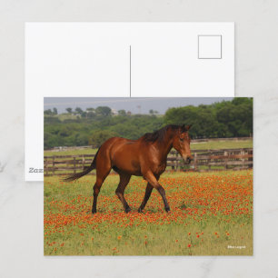 Bay Thoroughborn Horse Walking Flowers Vykort