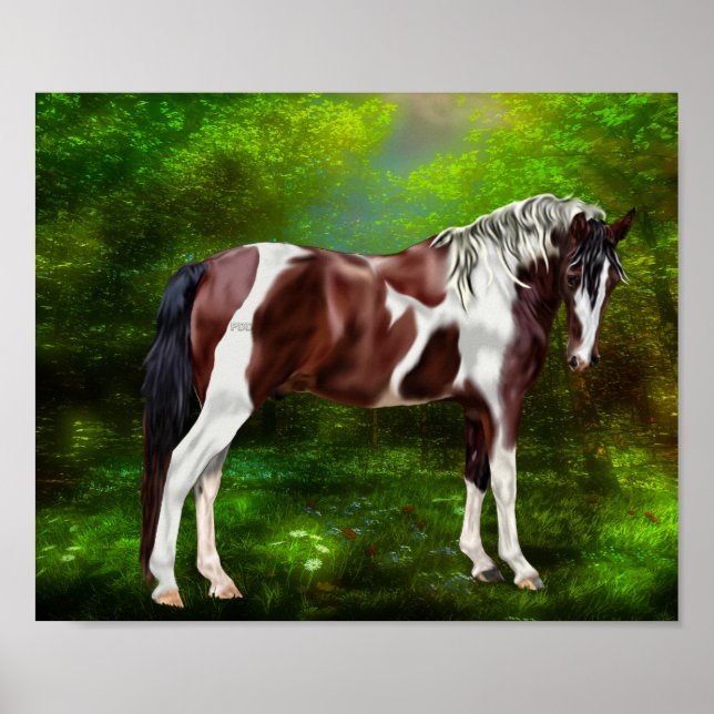Bay Tobiano Paint Horse Poster (Framsidan)