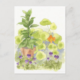 Bay Träd Nasturium Herb Garden Watercolor Vykort