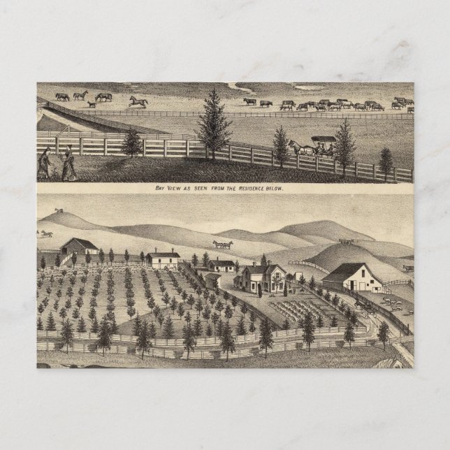 Bay View and Residence of JR Ro Vykort (Framsida)