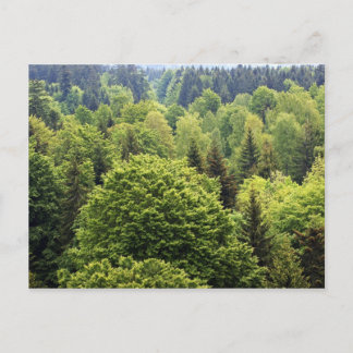 Bayerischer Wald Vykort