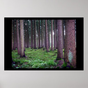 Bayerisk skog poster