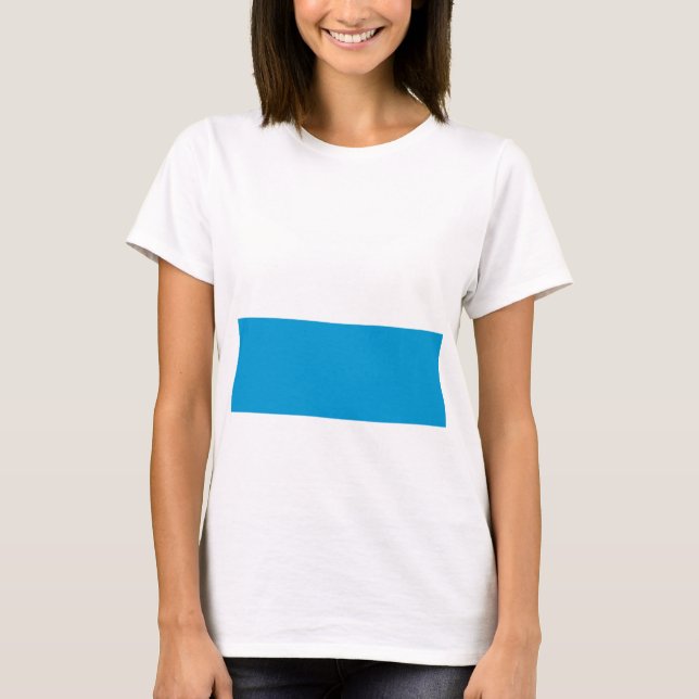 Bayeristisk Flagga T Shirt (Framsida)