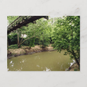 Bayou Bend Collection Park, Houston, Texas, USA Vykort