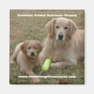 Bayou Magnet - Sunshine Golden Retriever Rädding..