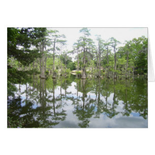Bayou Reflection Card Hälsningskort