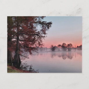 Bayou sunrise vykort