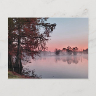 Bayou sunrise vykort