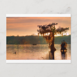 Bayou Sunset 5769 Vykort