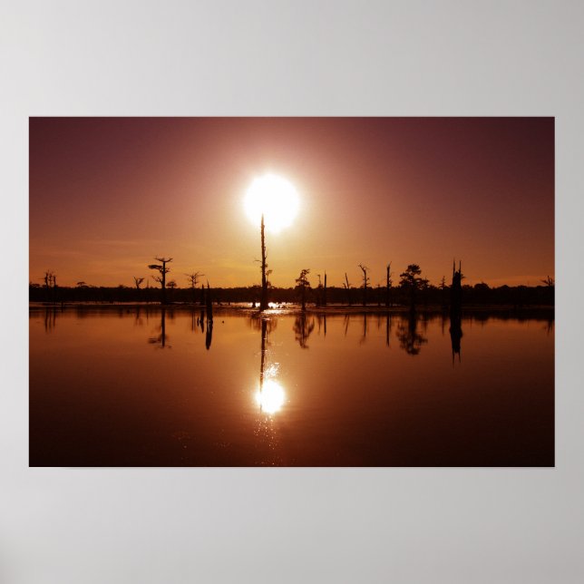 Bayou Sunset Poster (Framsidan)