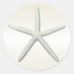 Bayside Single Starfish Champagne Round Runt Klistermärke