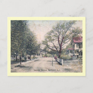 Bayview Ave., Northport, Long Island Vintage Vykort