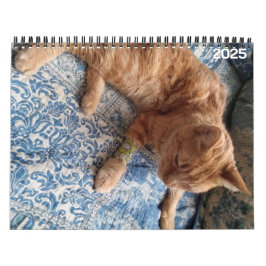 Bazz 12 månaders Personlig 2025 Kalender