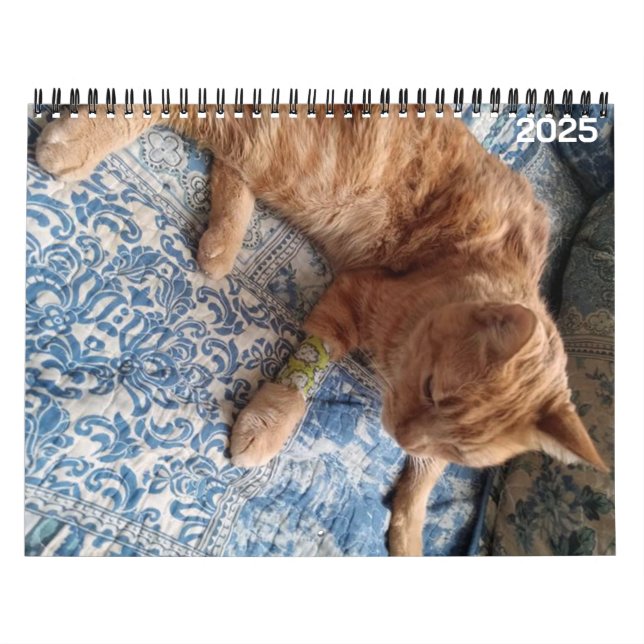 Bazz 12 månaders Personlig 2025 Kalender (Omslag)