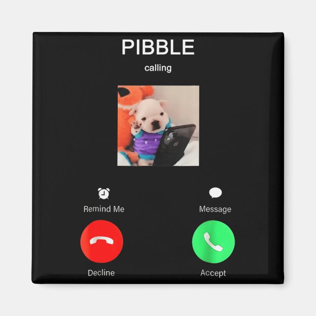 Bble Ringer Roligt Meme För Meme Fans Hundälskare Magnet (Framsidan)