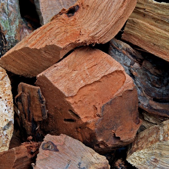 BBQ Smoking Wood Oak Hickory Cherry Visitkort (Skapare uppladdad)