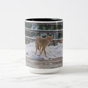 BC Coyote Wildlife Nature Coffee Mugg