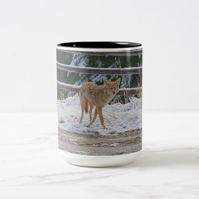 BC Coyote Wildlife Nature Coffee Mugg (Center)