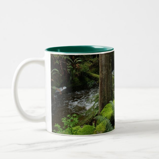 BC Forest Bäck Ferns Wilderness Nature Drinkware Två-Tonad Mugg (Vänster)