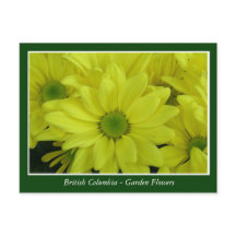 BC-trädgårdsblommor