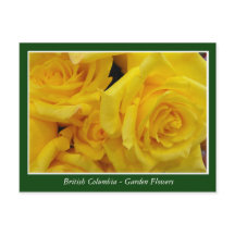 BC-trädgårdsblommor