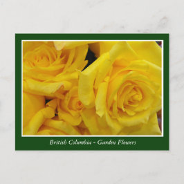 BC-trädgårdsblommor Vykort