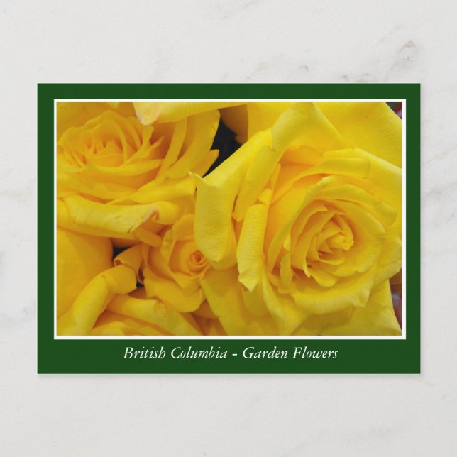 BC-trädgårdsblommor Vykort (Framsida)