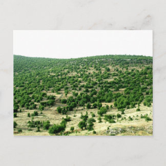 Bcharre, Libanon Vykort