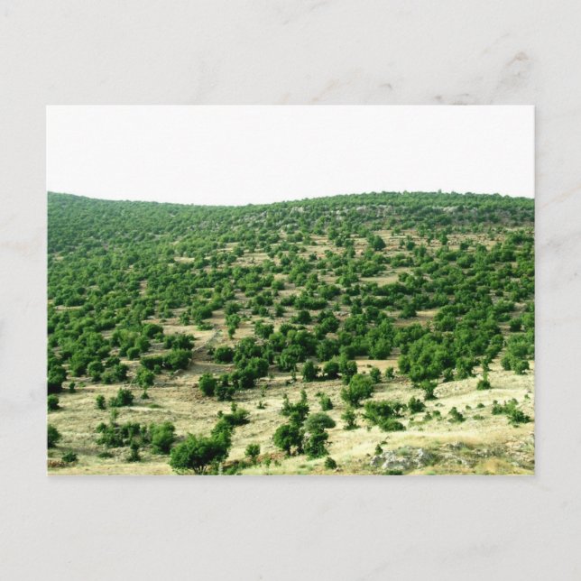 Bcharre, Libanon Vykort (Framsida)