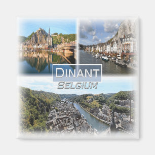BE0050 Europe, Belgien, Dinant, Fridge Magnet