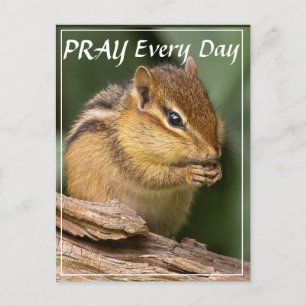 Be dagligen Chipmunk Vykort