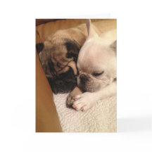 Be för en fartfylld återställning