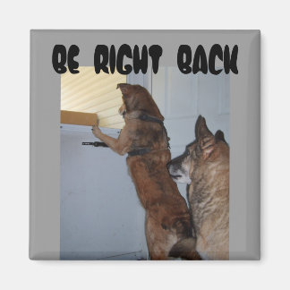 BE HÖGER BACK-jazzy och Cb 2, Magnet